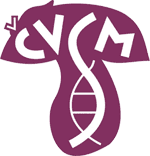 logo_cvsm